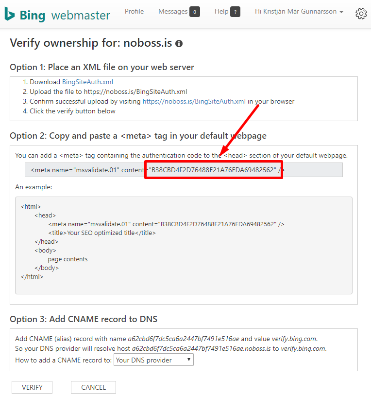 Verification options in Bing Webmaster Tools