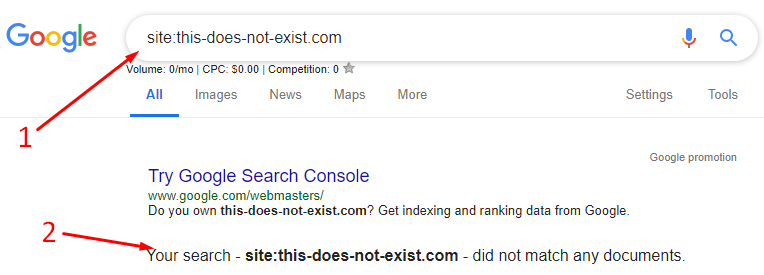 Site search for noindexed site